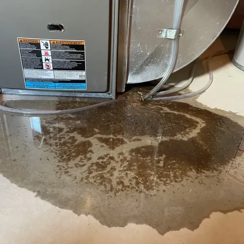 Appliance Leak Cleanup in Perry, MI